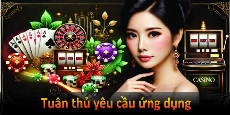 Đảm bảo dung lượng và tuân thủ yêu cầu ứng dụng